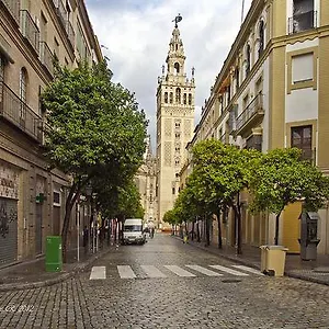  Pensión Backpackers Utopia
